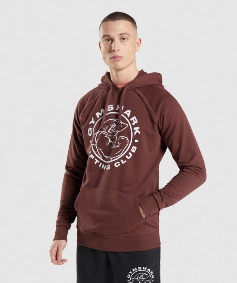 Men's Gymshark Legacy Hoodie Brown | CA 70D315